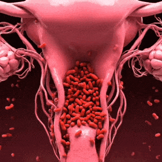 It Stops the Cycle at the Source — Not Just the Symptoms