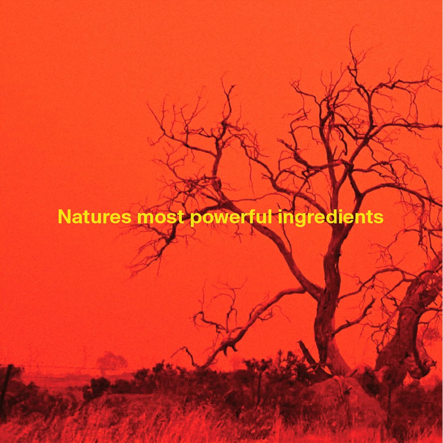 Earth Tones - Face Mask