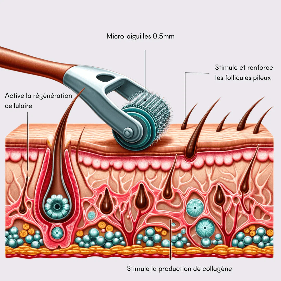 DermaRoller - Boost Your Results