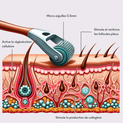DermaRoller - Boost Your Results