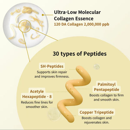 Korean Silk Lifting Peptide Ampoule